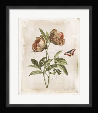 Framed Antiquarian Blooms VI Print
