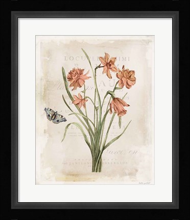 Framed Antiquarian Blooms V Print