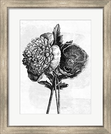 Framed Spa Botanical III BW Crop Print