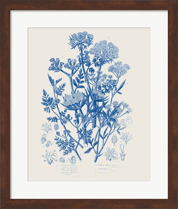 Framed Flowering Plants IV Mid Blue Print