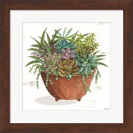 Framed Terracotta Succulents I Print