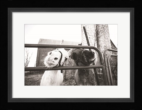 Framed Hey Donkeys I Print