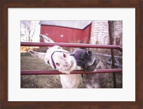 Framed Hey Donkeys II Print