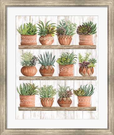 Framed Succulents on Shelves Print