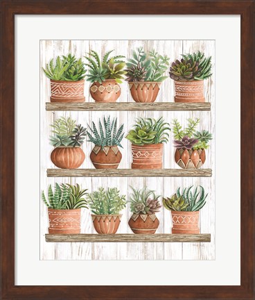 Framed Succulents on Shelves Print