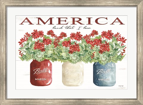 Framed America Glass Jars Print