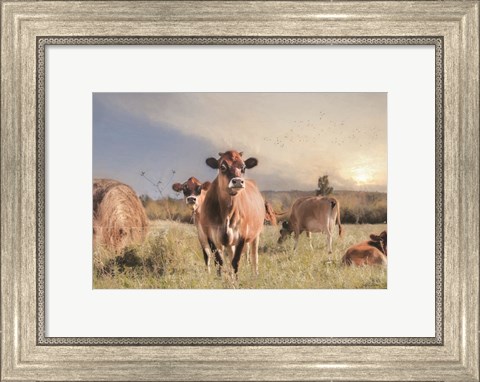 Framed Cow Photobomb Print