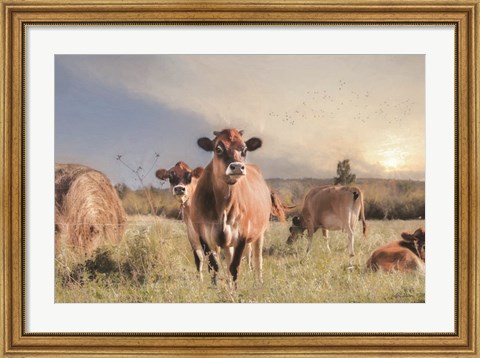 Framed Cow Photobomb Print