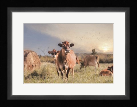 Framed Cow Photobomb Print
