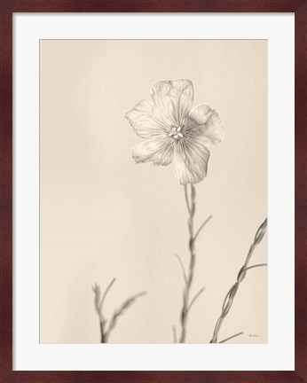 Framed Faded Flower III Print