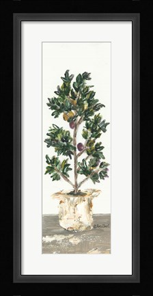 Framed Olive Tree Print