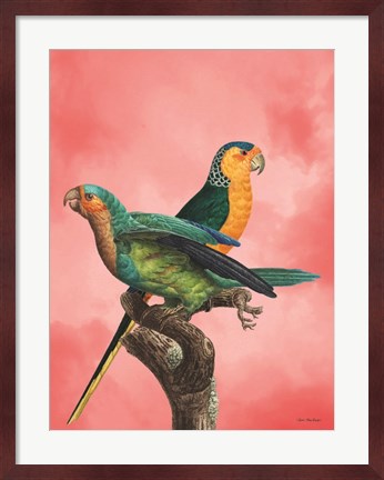 Framed Birds and the Pink Sky I Print