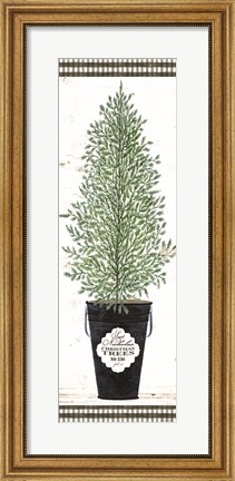 Framed Cedar Tree Print