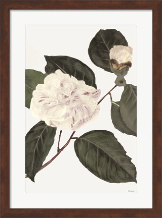 Framed White Botanical I Print