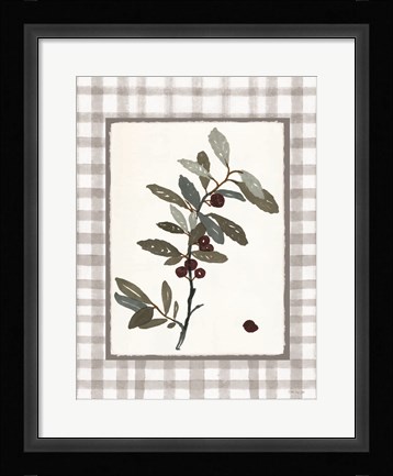 Framed Floral Medley 3 Print