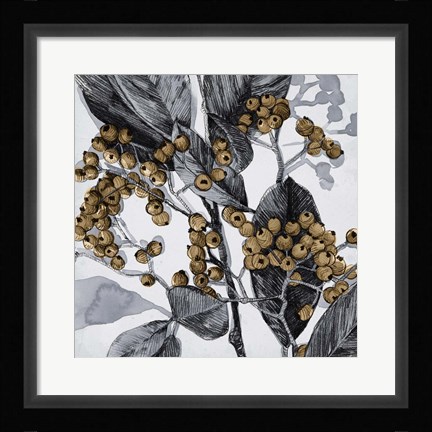 Framed Holly Shadow II Print