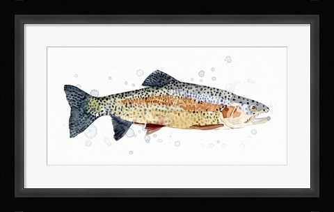 Framed Watercolor Rainbow Trout I Print