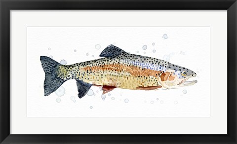 Framed Watercolor Rainbow Trout I Print