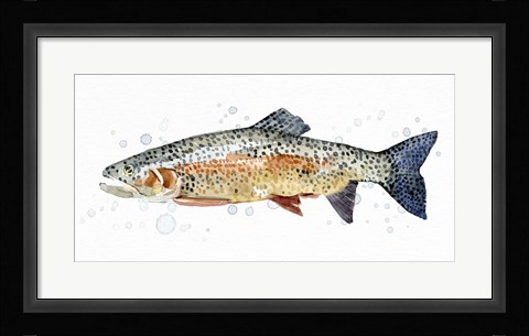 Framed Watercolor Rainbow Trout II Print