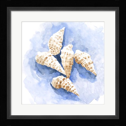 Framed Shell Impressions I Print