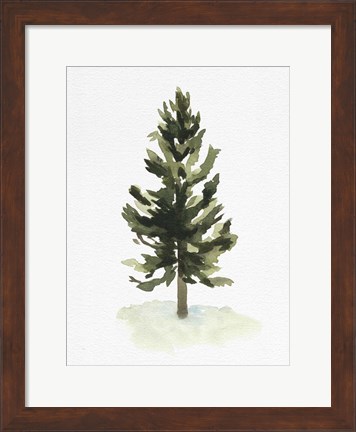 Framed Watercolor Pine I Print