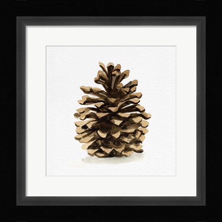 Framed Conifer Cone I Print