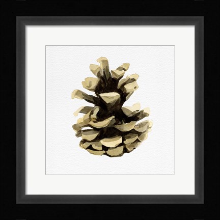 Framed Conifer Cone III Print
