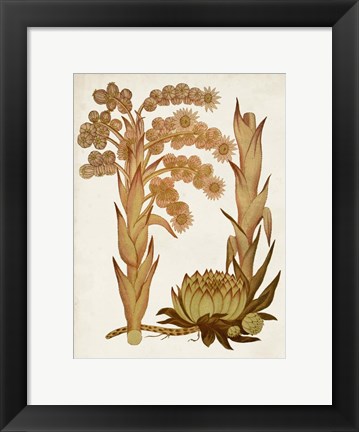Framed Muted Botanicals II Print
