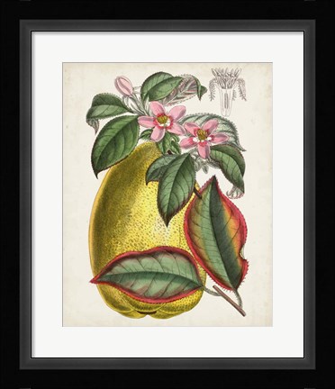 Framed Delicate Tropicals V Print