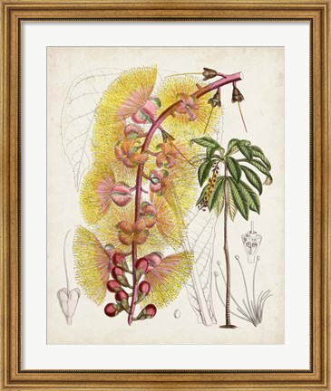 Framed Delicate Tropicals VII Print