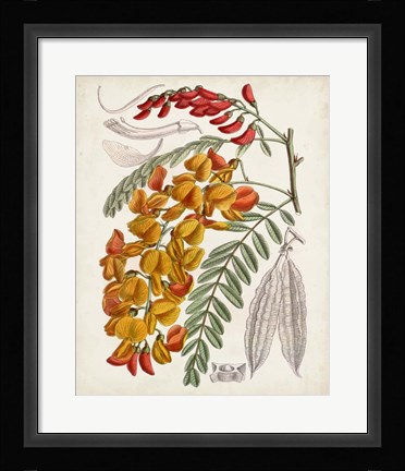 Framed Delicate Tropicals IX Print