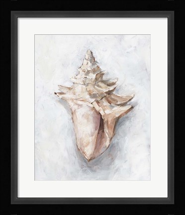 Framed White Shell Study I Print