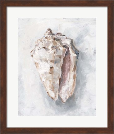 Framed White Shell Study II Print