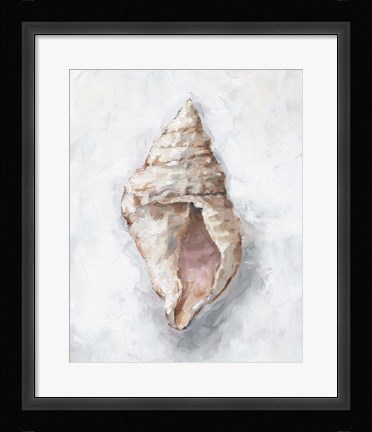 Framed White Shell Study III Print