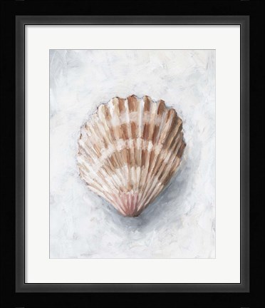 Framed White Shell Study IV Print