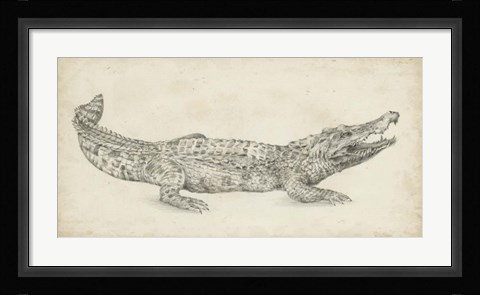 Framed Crocodile Sketch Print