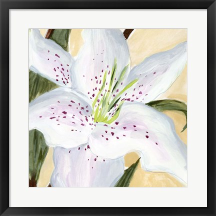 Framed White Lily I Print