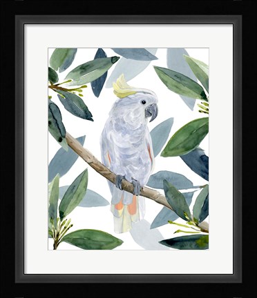 Framed Cockatoo Perch I Print