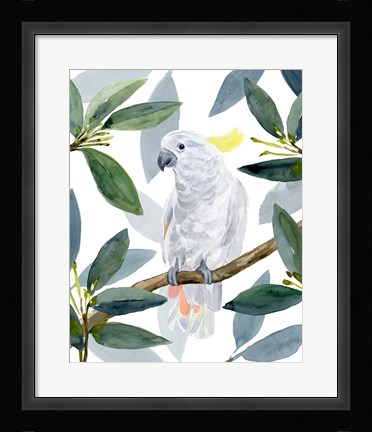 Framed Cockatoo Perch II Print