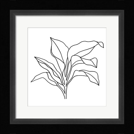 Framed Foliage Contour I Print