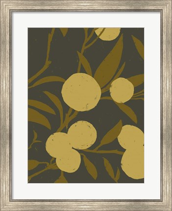 Framed Golden Satsuma II Print