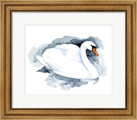 Framed Silverlake Swan I Print