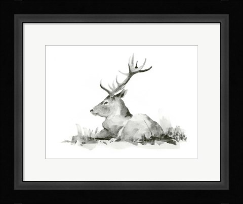 Framed Recumbent Stag II Print