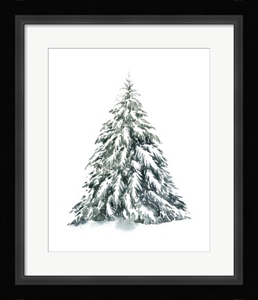 Framed Blue Spruce I Print