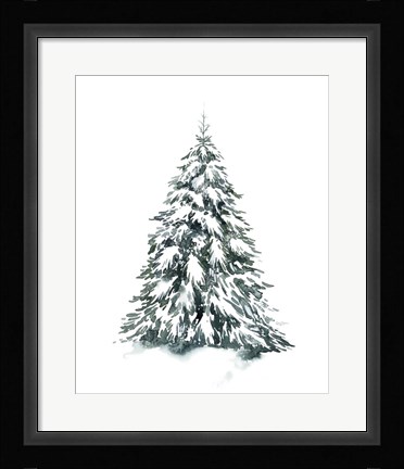 Framed Blue Spruce II Print