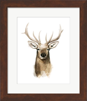 Framed Watercolor Elk Portrait I Print