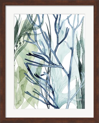 Framed Sea Leaves II Print