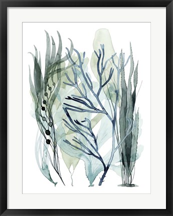 Framed Sea Leaves III Print