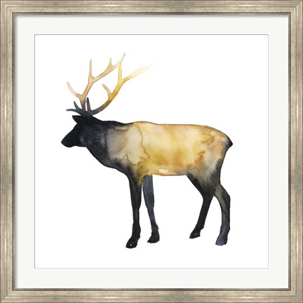 Framed Elk Aglow I Print