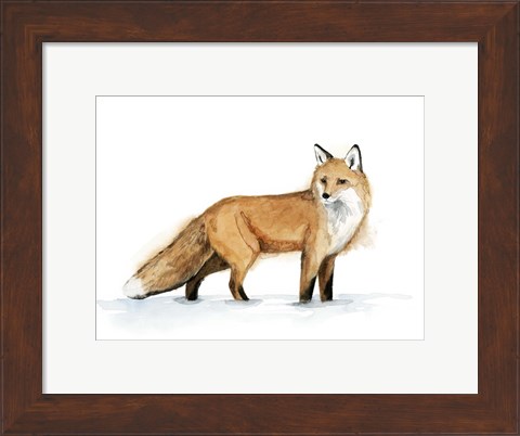 Framed Snow Fox I Print